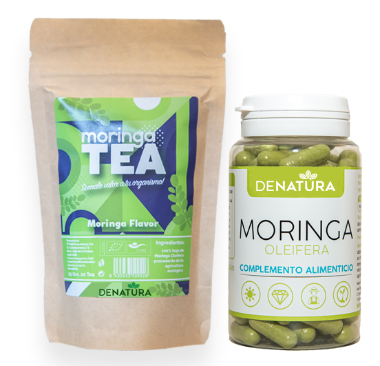 tea-moringa-granel-capsulas